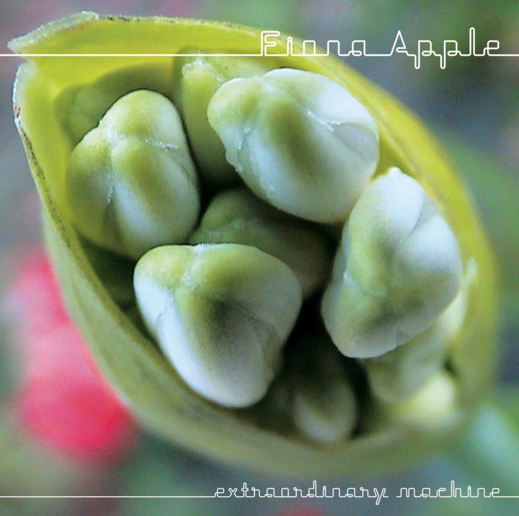 Musique Journal -   Extraordinary Machine : l’introuvable album de Fiona Apple