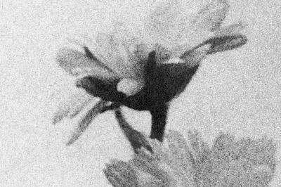 Musique Journal -   Le bilan 2019 de notre envoyé spécial au cœur des limbes