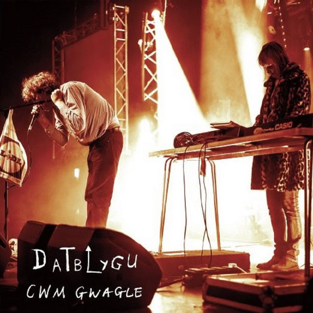 Musique Journal -   Chansons post-punk pour un printemps gallois [Datblygu]