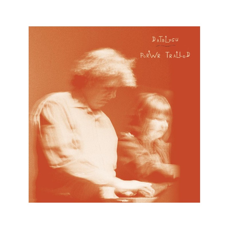 Musique Journal -   Chansons post-punk pour un printemps gallois [Datblygu]