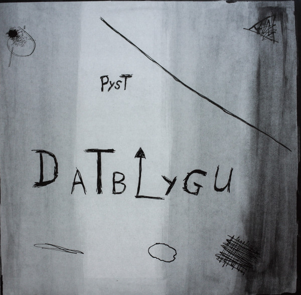 Musique Journal -   Chansons post-punk pour un printemps gallois [Datblygu]