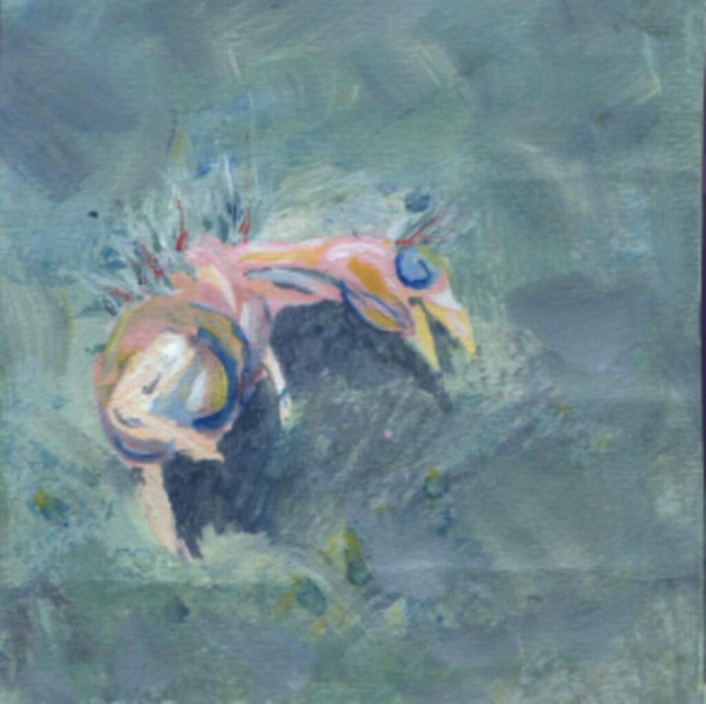 Musique Journal -   Personne n’a écouté blue smiley, le meilleur groupe shoegaze des années 2010