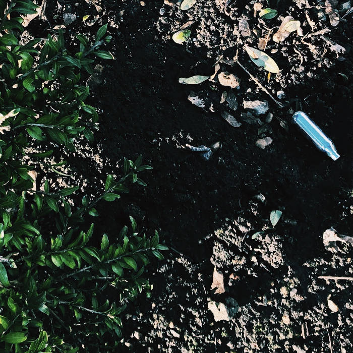 Musique Journal -   En 2025, le dubstep est devenu un sport mixte