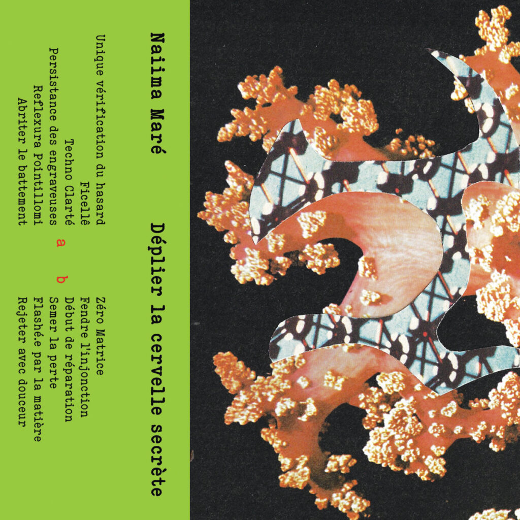 Musique Journal - Proposition d’écoute simultanée de deux disques sortis à vingt ans d’écart