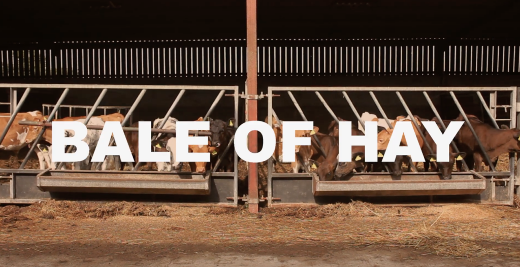 Musique Journal -   Exploser le genre : le nouveau punk féministe anglais est cathartique